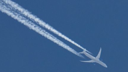 Les "chemtrails", théorie du complot selon laquelle les traces laissées dans le ciel par les avions seraient chargées de produits chimiques, dans le but d'empoisonner les populations. (NICOLAS ECONOMOU / NURPHOTO)