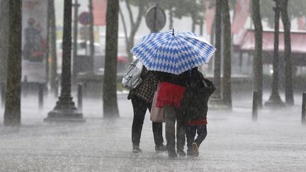 Une famille affronte la pluie battante, le 17 juin 2013 &agrave; Paris, alors qu'un orage s'abat sur la capitale. (FRANCOIS GUILLOT / AFP)