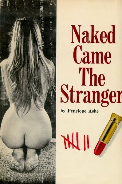 Couverture de "Naked came the stranger"
