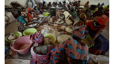 Certains spécimens du baobab, un arbre qui se gorge d’eau à la saison des pluies et pousse sur un sol sec, peuvent être âgés de 2 000 ans. Il peut fournir plus de 200 fruits (pain de singe) par an qui chacun peut contenir en moyenne 300 graines enrobées d'une pulpe. Après la récolte des fruits, plus d’une centaine de femmes de Ndem et des villages alentours se réunissent pour récupérer les graines et les transformer en poudre. Cette poudre aux nombreuses qualités nutritionnelles, largement utilisée dans l’alimentaire, est de plus en plus sollicitée par les consommateurs étrangers. Et elle permet aussi la fabrication de crème cosmétique.&nbsp; &nbsp; (REUTERS / ZOHRA BENSEMRA)