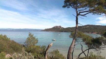 Porquerolles : préserver l'une des plus elles plages d'Europe