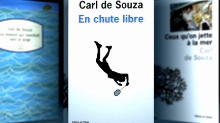 &quot;En chute libre&quot; de Carl de Souza
 (FranceO/culturebox)