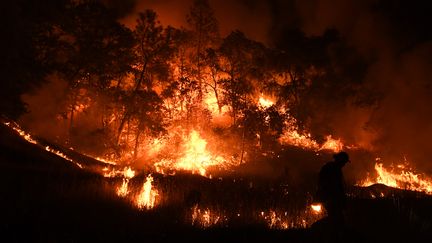 Pompier luttant contre le feu Mendoncino Complex Fire, en Californie le 01 août 2018. (MARK RALSTON / AFP)