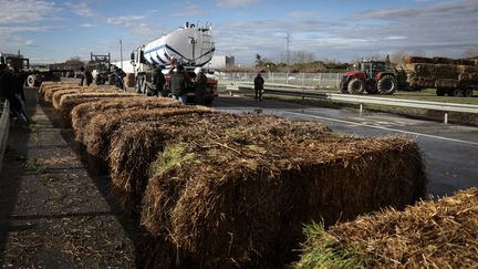 Des agriculteurs bloquent l'autoroute A64, au sud de Toulouse (Haute-Garonne), le 22 janvier 2024. (VALENTINE CHAPUIS / AFP)