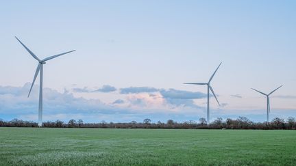 Des éoliennes à Saint-Hilaire-de-Chaléons (Loire-Atlantique), le 17 janvier 2023. (MAYLIS ROLLAND / HANS LUCAS / AFP)