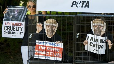 Des militants de l'ONG Peta manifestent &agrave; Washington (Etats-Unis), le 17 juillet 2014, pour demander &agrave; Air France de cesser le convoi de primates vers les laboratoires. (SAUL LOEB / AFP)