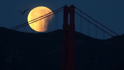 &nbsp; (JUSTIN SULLIVAN / GETTY IMAGES NORTH AMERICA)