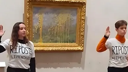 Deux militantes pour le climat condamnées à une amende après un jet de soupe sur un tableau de Monet à Lyon