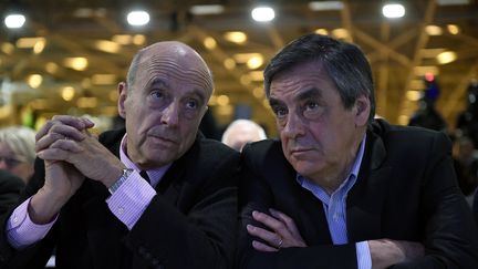 Alain Juppé et François Fillon, le 13 février 2016 à Paris.&nbsp; (LIONEL BONAVENTURE / AFP)