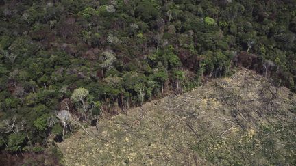 Entre 2004 et 2017, l'Amazonie brésilienne a perdu 15,4% de son couvert forestier selon WWF. (BRAZIL PHOTOS / LIGHTROCKET)