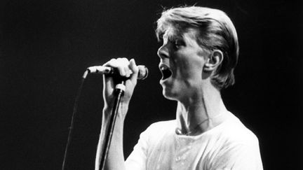 &nbsp; (David Bowie lors d’un concert à Francfort le 14 mai 1978 © Maxppp)