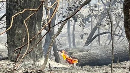 Incendies en Gironde : des conditions météorologiques un petit peu plus favorables