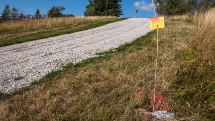 Les&nbsp;derniers mètres avant l'arrivée à la Planche-des-Belles-Filles, pour le Tour de France 2019. (JEAN-FRANCOIS FERNANDEZ / FRANCE-BLEU BESANÇON)