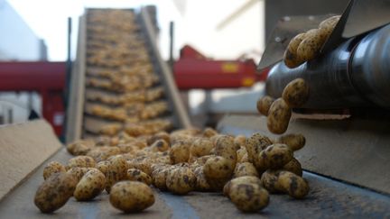 Le prix de la pomme de terre a augmenté de 23% de 2022 à 2023. (JEAN-FRANCOIS MONIER / AFP)