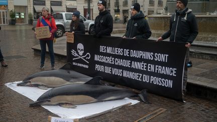 L'association Sea Sherpherd expose des cadavres de dauphins à Nantes (Loire-Atlantique) pour dénoncer les techniques de pêche, le 24 février 2023. (ESTELLE RUIZ / HANS LUCAS / AFP)