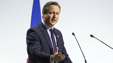 &nbsp; (David Cameron le 30 novembre à Paris. © Maxppp)