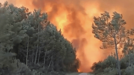 Incendies : des moyens de lutte renforcés contre les feux de forêts (France 3)