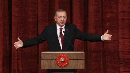  (Le président Erdogan veut placer l'armée sous le contrôle du ministère de la Défense © AFP/AHMET IZGI)