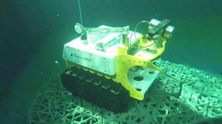 Bathybot : un robot spécial pour explorer les fonds marins