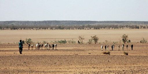 Un Touareg surveillant un troupeau dans le Sahara nigérien le 23 février 2005.  ( AFP - PIERRE VERDY)