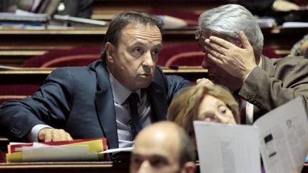 Jean-Pierre Bel participe à un débat au Sénat à Paris, le 22 octobre 2010. (AFP - Jacques Demarthon)