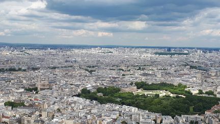 Le Jardin du Luxembourg à Paris. (STÉPHANIE BERLU / RADIOFRANCE)