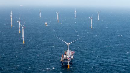 Un parc éolien en mer du Nord, le 20 octobre 2021 à Oostende (Belgique). (KURT DESPLENTER / BELGA MAG)