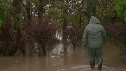 Inondations dans le Pas-de-Calais : à Hesdigneul-lès-Boulogne, certains habitants préfèrent rester (France 2)