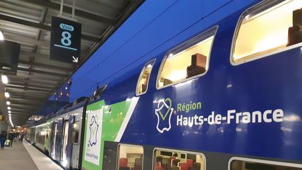 Un TER Hauts-de-France en gare&nbsp;d'Amiens le&nbsp;11/04/2019. (ANNAIG HAUTE / FRANCE-BLEU PICARDIE)