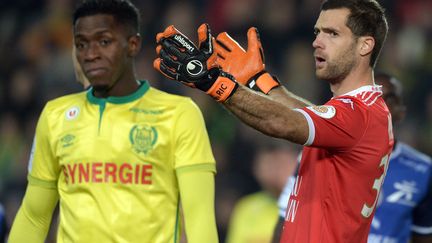 Denis Petric, le nouveau gardien du SCO d'Angers (JEAN-SEBASTIEN EVRARD / AFP)