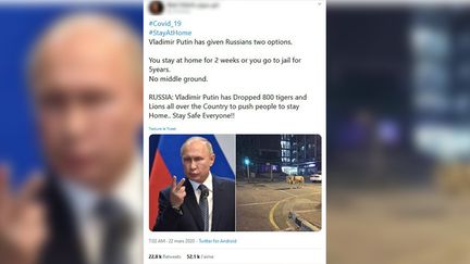 Capture d'écran d'un tweet annonçant l'envoie de lion dans les rues par Vladimir Poutine, président de la Russie, pour obliger les Russes à rester confiné chez eux. (CAPTURE ECRAN)