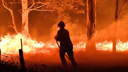 Un pompier tente d'éteindre un incendie pour protéger les maisons des feux de brousse près de la ville de Nowra dans l'Etat de la Nouvelle-Galles du Sud en Australie, le 31 décembre 2019.&nbsp; (SAEED KHAN / AFP)