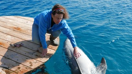 &nbsp; (Sophie Donio à Eilat "Les enfants rencontrent les dauphins tôt le matin" © Emmanuel Langlois)