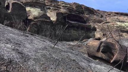 Île de Pâques : l’incendie qui a détruit quelques 80 moaï serait d’origine criminelle selon les autorités