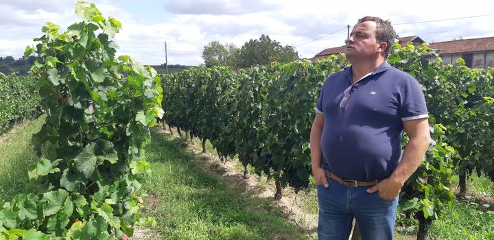 Marc Medeville&nbsp;dans ses vignes. (GUILLAUME  GAVEN / RADIO FRANCE)