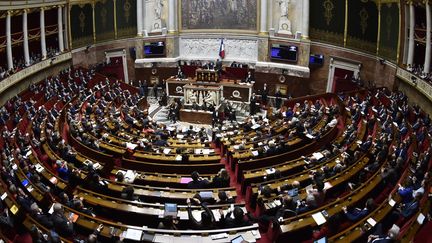 L'Assemblée Nationale, mars 2018
 (GERARD JULIEN / AFP)