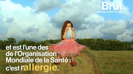 Le nombre de personnes allergiques pourrait grandement augmenter ces prochaines années.