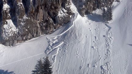 Une avalanche au Grand Som dans le massif de la Chartreuse (Isère), le 17 février 2012. (POLICE NATIONALE / AFP)