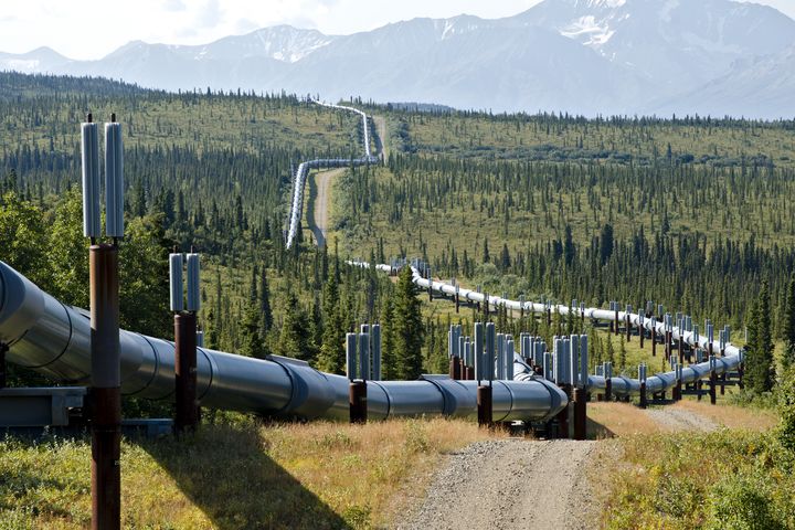 L'oléoduc qui relie les gisements de pétrole de North Slope, dans le nord de l'Alaska, au terminal pétrolier de Valdez, dans le sud. (JEAN-PHILIPPE DELOBELLE / BIOSPHOTO / AFP)