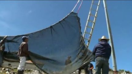 Les habitants de Tojquia montent eux-mêmes le filet qui emprisonnera chaque goutte d'eau, précieuse dans cette région aride du Guatemala. (FTV)