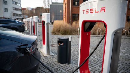 Une voiture Tesla en charge à Berlin, en Allemagne, le 22 janvier 2022. (BERND VON JUTRCZENKA / DPA / AFP)