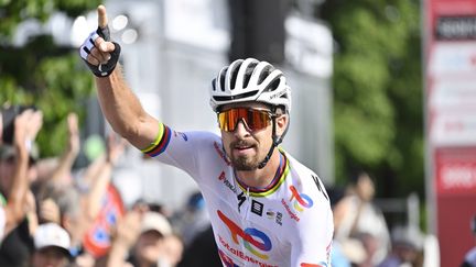 Peter Sagan savoure son succès obtenu sur la troisième étape du Tour de Suisse, le 14 juin 2022, à Granges. (GIAN EHRENZELLER / MAXPPP)