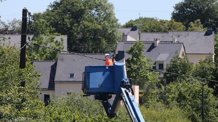 Un technicien d'ERDF r&eacute;pare une ligne &eacute;lectrique, le 10 juin 2015, dans le Morbihan. (MAXPPP)