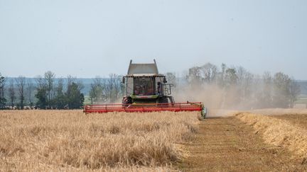 Un agriculteur moissonne un champ de blé, dans la région de Kharkhiv, dans l'est de l'Ukraine, le 27 juin 2023. (STRINGER / ANADOLU AGENCY / AFP)