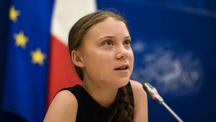 Greta Thunberg lors d'une réunion à l'Assemblée nationale à Paris, le 23 juillet 2019.&nbsp; (LIONEL BONAVENTURE / AFP)