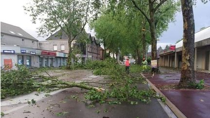 Plusieurs arbres ont été arrachés ou endommagés du fait de l'orage dans le secteur de Gray (Haute-Saône), le 20 juin 2019. (FACEBOOK METEO FRANC-COMTOISE)