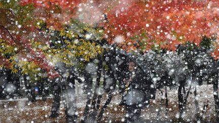 La neige tombe sur Tokyo, au Japon, le 24 novembre 2016. (KAZUHIRO NOGI / AFP)