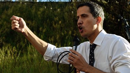 Le président de l'Assemblée nationale du Venezuela, Juan Guaido, devant une foule de partisans de l'opposition, à Caracas, le 19 janvier 2019.&nbsp; (FEDERICO PARRA / AFP)