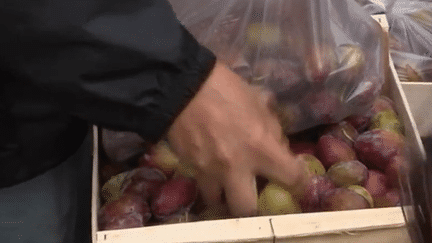 Paris : les producteurs organisent une vente directe de fruits et légumes à prix cassés