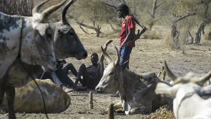 Un homme portant une arme à feu se tient près d'un troupeau de vaches dans le village de Kirgui, dans la ville sud-soudanaise d'Udier, le&nbsp;9 mars 2019. (SIMON MAINA / AFP)